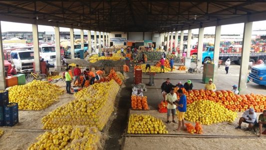 mercadoprodutor(8)