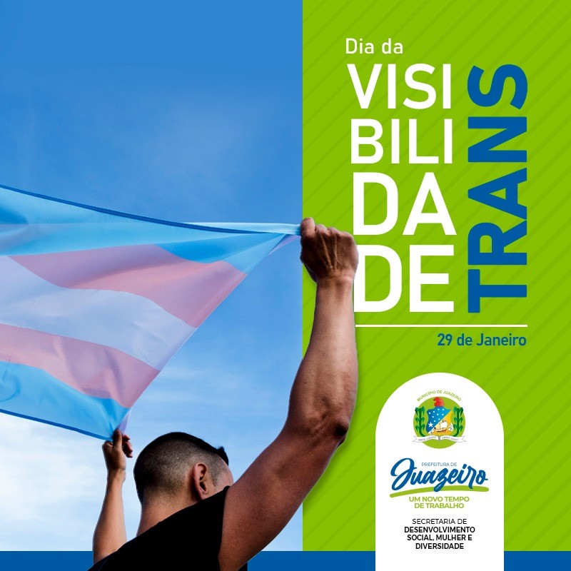 vis trans