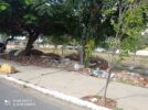 Após reclamações de moradores, SESP afirma que serviço de limpeza no bairro Cajueiro já está programado