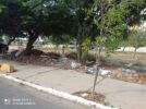 Moradores do Cajueiro, em Juazeiro, voltam a reclamar de lixo acumulado em ruas do bairro