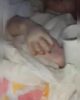 “O erro já começou no parto”: após dias de espera por UTI Neonatal, morre um bebê nascido no Hospital Materno Infantil de Juazeiro