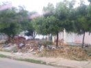 “O poder público precisa agir”: morador do Castelo Branco, em Juazeiro, cobra serviços de limpeza e capina nas ruas e praças do bairro