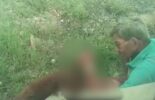 Maus tratos a animais é crime: homem é flagrado molestando uma cadela no Residencial Dr. Humberto, em Juazeiro
