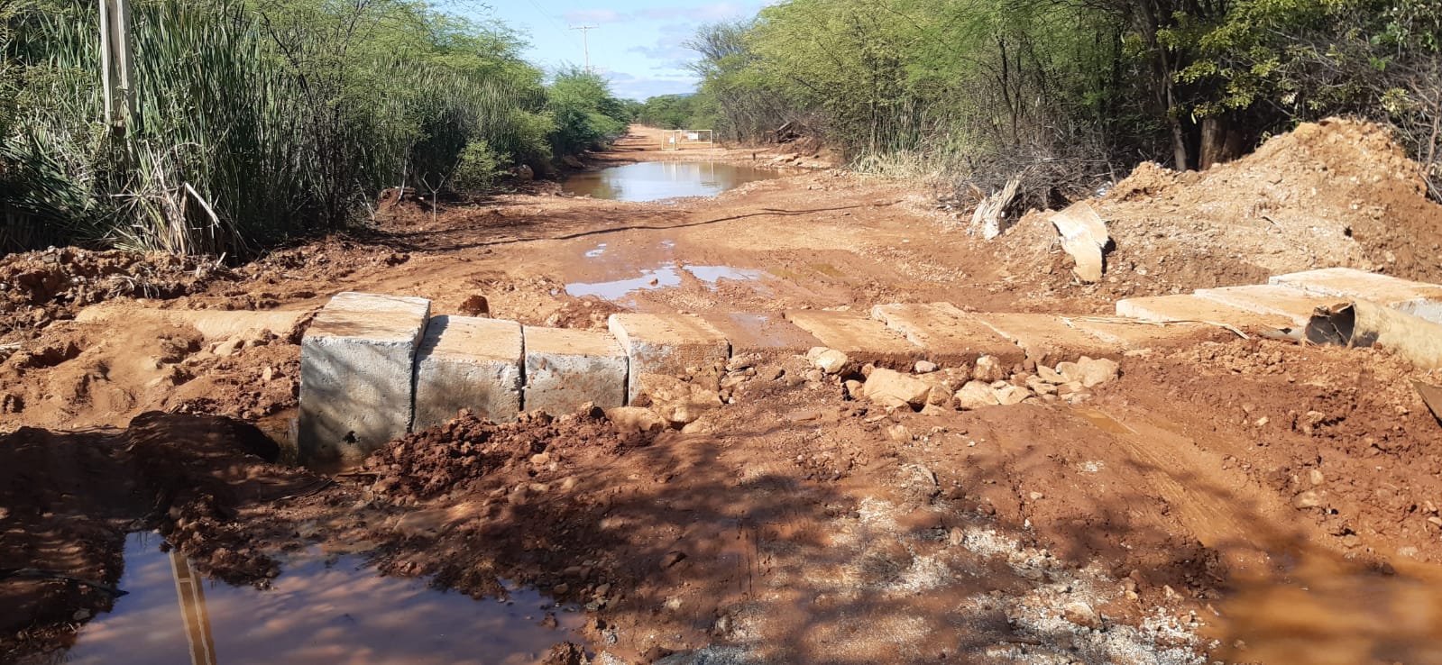 WhatsApp Image 2022-03-29 at 13.31.39