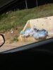 Morador do bairro Lomanto Júnior, em Juazeiro, apela por coleta de lixo; SAAE responde