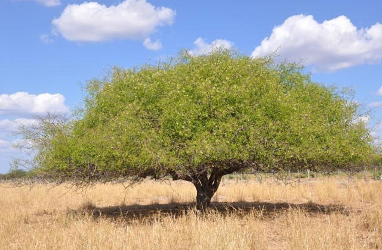 WhatsApp Image 2022-04-13 at 16.41.52