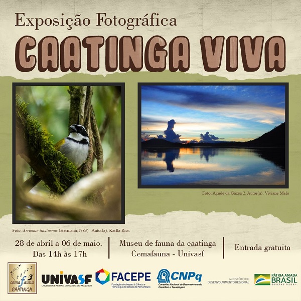 WhatsAppImage20220428at12.08.52