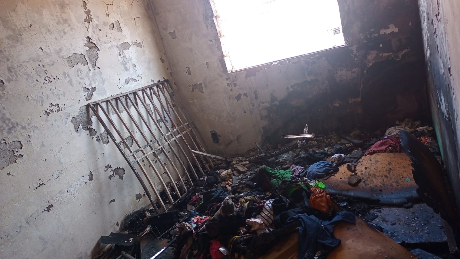 WhatsApp Image 2022-05-10 at 17.20.41