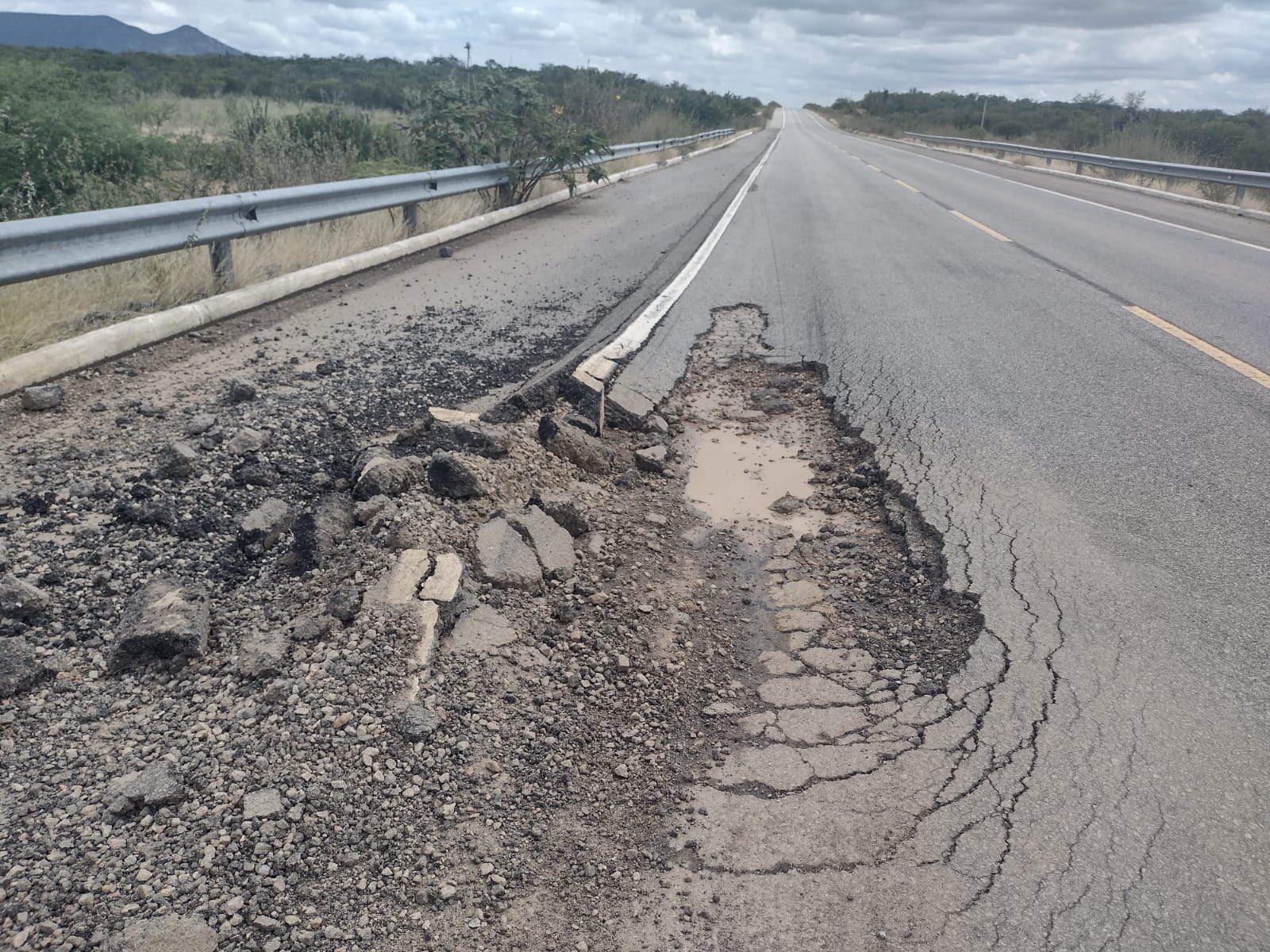 WhatsApp Image 2022-05-22 at 16.50.39 (1)