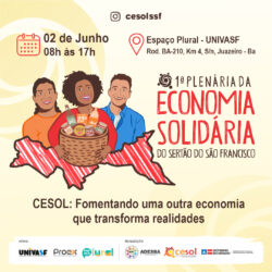 Cesol Sertão do São Francisco realiza I Plenária de Economia Solidária em Juazeiro-BA