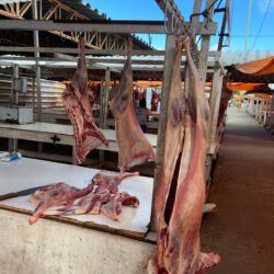 Mais de 30 quilos de carne clandestina foram apreendidas em feira livre de Petrolina