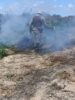 Operação Terra Limpa: Polícia Militar erradica mais de 40 mil pés de maconha Curaçá
