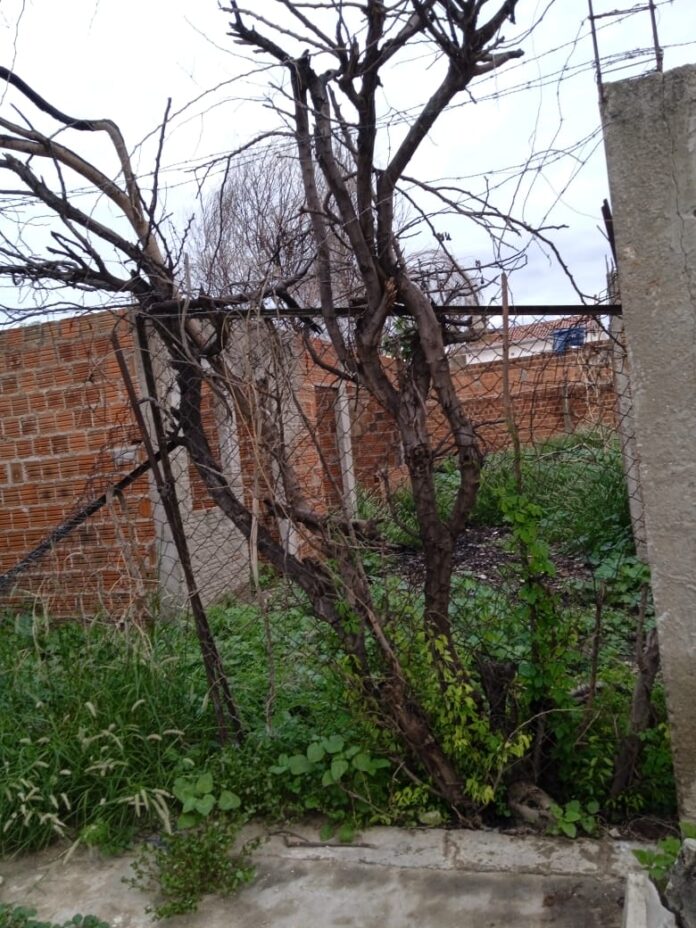IMG-20221205-WA0030