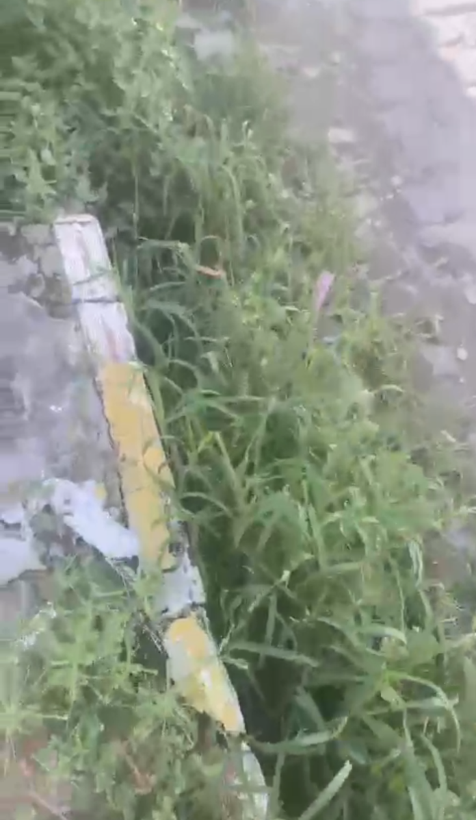 Screenshot_20221210-100426