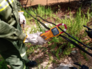 Fazenda no Campo dos Cavalos, Juazeiro é flagrada furtando energia suficiente para abastecer 1.400 residências