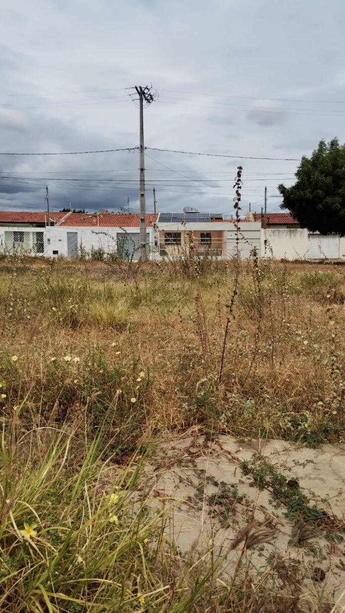 WhatsApp Image 2023-03-15 at 15.31.03