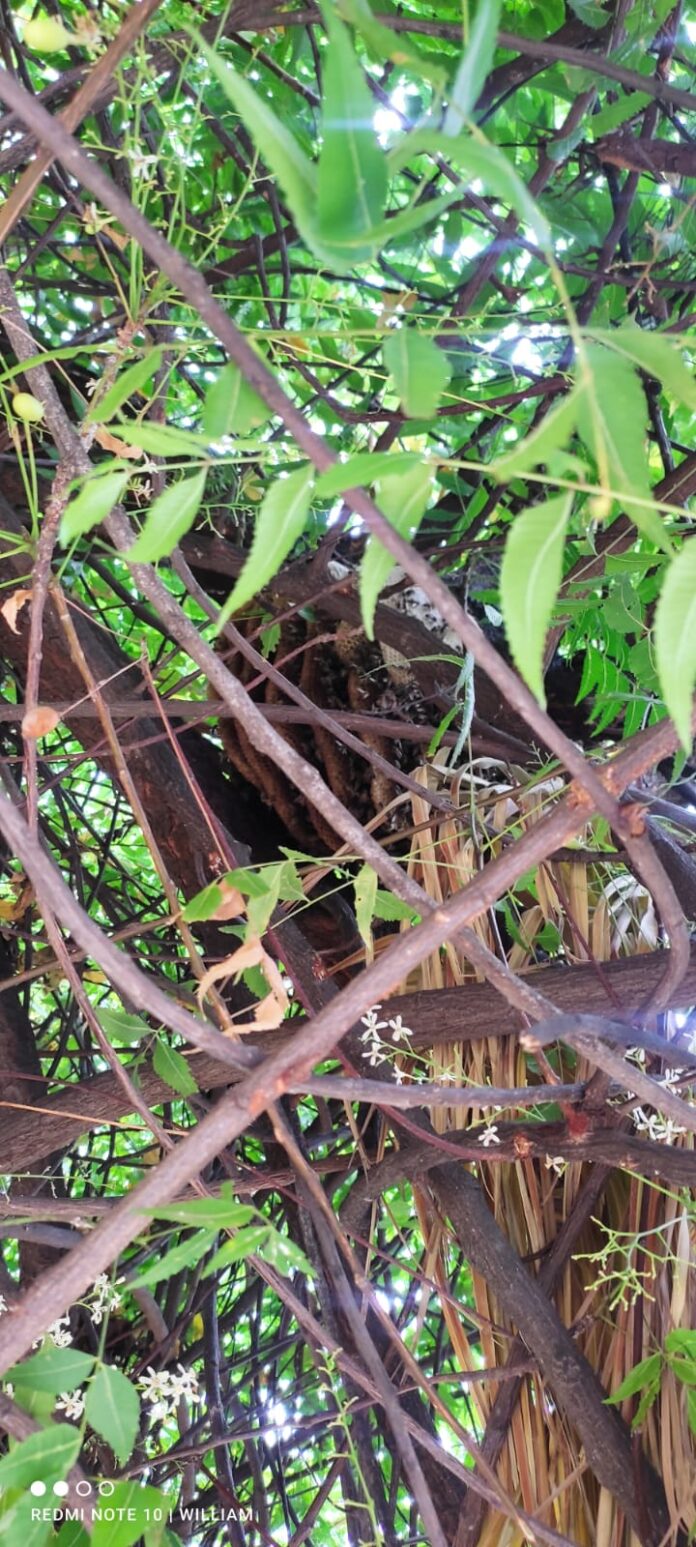 WhatsApp Image 2023-03-20 at 11.56.15