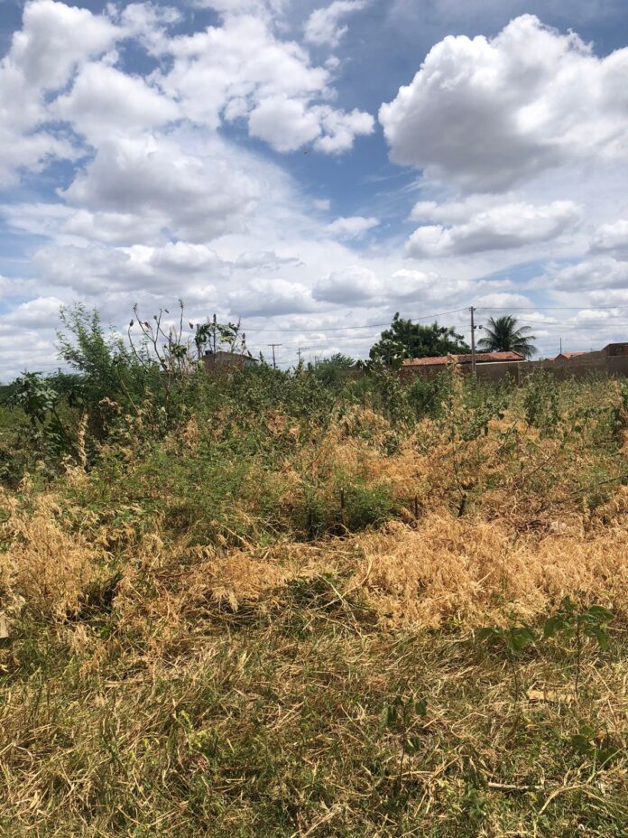 corrego pedro raimundo