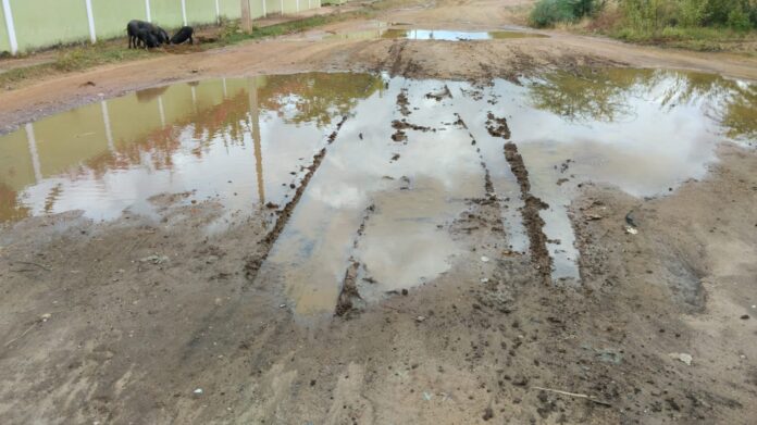 estrada adutora resp