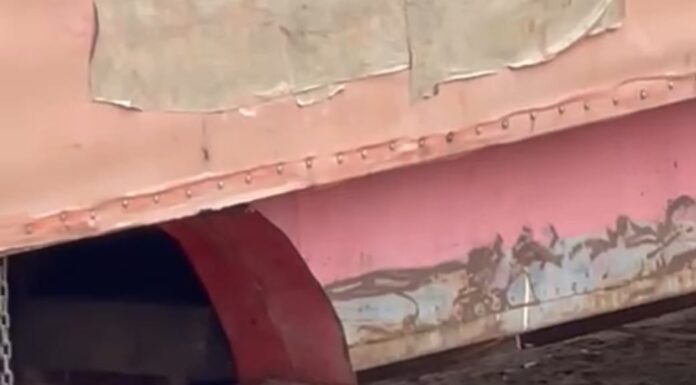 Semaurb dá prazo para trailer irregular se retirar de Avenida Lomanto Júnior, em Juazeiro; três cães morreram eletrocutados no local