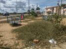 Moradores do Residencial Novo Horizonte, em Juazeiro, reclamam da falta do serviço de capina: “o mato tomou conta”