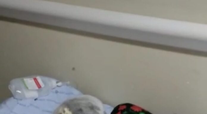 Há 3 dias, idosa espera por leito no corredor do Hospital Regional de Juazeiro: “É revoltante e doloroso ver minha mãe naquela situação”; HRJ responde