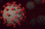 Primeiro caso da variante arcturus da Covid é confirmado no Brasil