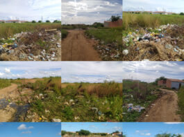 Moradores do bairro Piranga 2, em Juazeiro, continuam cobrando a realização dos serviços de limpeza e capina no local; SAAE responde