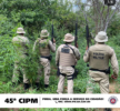 Polícia Militar da Bahia realizada erradicação de aproximadamente 14.400 pés de maconha no município de Curaçá