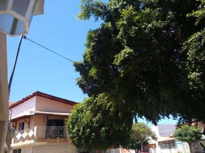 IMG-20230824-WA0059