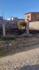 “Estamos de fato em uma terra que não se cumpre leis”: moradores reclamam de queimadas realizadas em terreno baldio no bairro Jardim Vitória, em Juazeiro; Semaurb responde