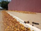 “Ei, prefeitura, dá uma olhadinha aqui no bairro”, convida morador do Expedito Nascimento, em Juazeiro