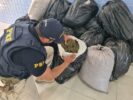 Motorista foge da PRF e veículo é encontrado com mais de 170 kg de maconha, na Vila Mocó, em Petrolina