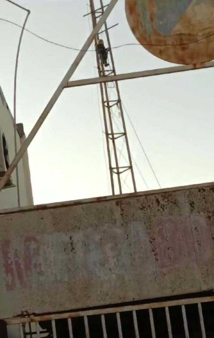 3f51382d-4ba9-45ba-9a9f-5787dcd98813