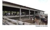 Mais de 2,8 mil pessoas deixam trabalho análogo à escravidão; resgate foi feito por fiscais do Ministério do Trabalho neste ano