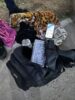 Mulher é presa em flagrante transportando 1kg de pasta base de cocaína no Terminal Rodoviário de Juazeiro