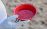 Bahia: Treze municípios estão em epidemia de dengue e oito em alerta
