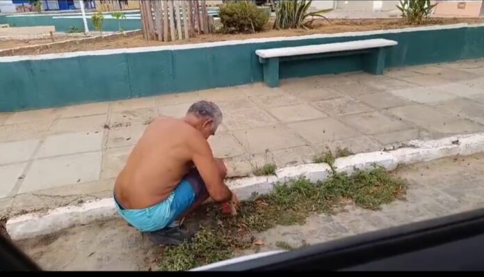 ee5cc49a-df8d-429b-bbb1-ae13e40b3ada