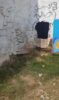 “Fedor, um mau cheiro terrível”: leitora denuncia buraco na Orla II de Juazeiro que está servindo de “banheiro público”; Veja vídeo