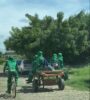 “Chocada com esta cena!”: Leitora do PNB flagra trabalhadores da Prefeitura de Juazeiro, que atuam no serviço de capina, sendo transportados em uma carroça