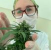 Cannabis medicinal: Confira orientações da presidente da AMO, Associação de Apoio ao Paciente, Pesquisa e Desenvolvimento de Cânhamo e Cannabis Medicinal, primeira entidade do gênero no Vale do São Francisco