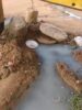 Moradora do Itaberaba, Juazeiro, alerta o SAAE para acúmulo de água provocado por boca de lobo estourada: “Não é só água dentro de casa que oferece risco não”