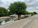 Chuvas e obstrução de canal provocam alagamentos no bairro Dom José Rodrigues e moradores pedem providências urgentes: “Podem contribuir para a proliferação do mosquito da dengue”