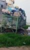 “Caso de saúde pública”: Moradora da Coreia pede que o serviço de limpeza pública solucione acúmulo de lixo em um container na rua do Canal