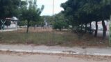 Morador do Expedito Nascimento, em Juazeiro, reclama do “abandono” das praças do bairro: “Os moradores estão fazendo cotinha pra podar as árvores”