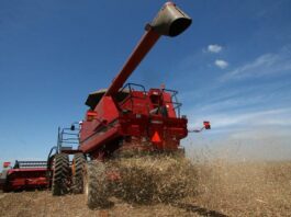 Agronegócio teve aumento no PIB e representa 28,4% de toda a economia baiana