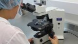 Pesquisadores identificam superbactéria no Nordeste que representa risco à saúde global
