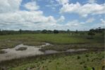 Bahia tem 48 territórios quilombolas incluídos no programa de reforma agrária