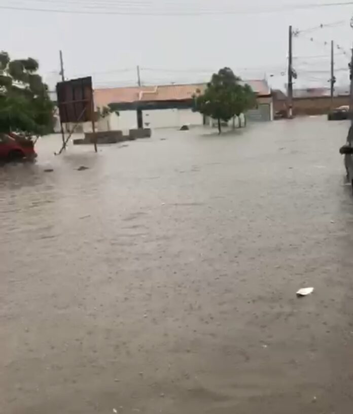 Screenshot_2024-11-25-09-11-31-631_com.whatsapp-edit