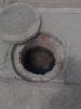 “Não tem como viver dessa forma”: moradora do bairro Argemiro, em Juazeiro, reclama de infestação de baratas na caixa de esgoto e cobra ações do SAAE